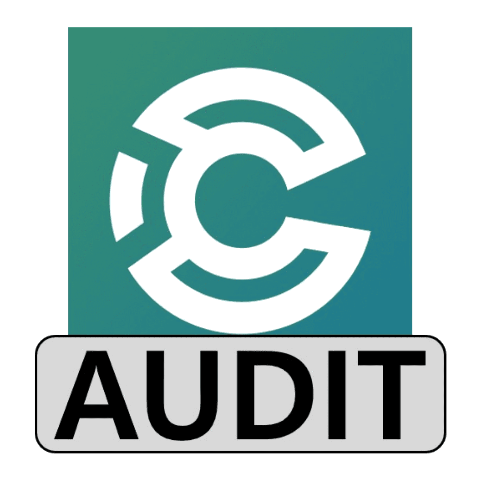 audit